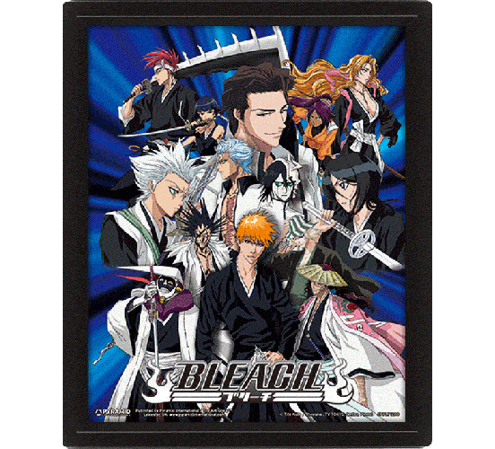 Bleach-Heroes-and-Villains-26x20-3D-Rahmenbild-1