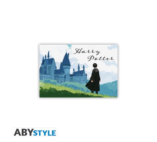 Harry-Potter-Harry-Hogwarts-55x8cm-Magnet-1