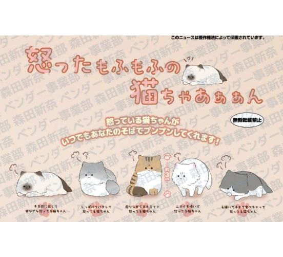 IRRITATEDFLUFFYMEOWMENT