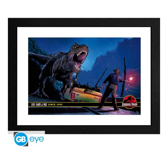 Jurassic-Park-Alan-Grant-vs-T-Rex-30x40cm-Rahmenbild-1