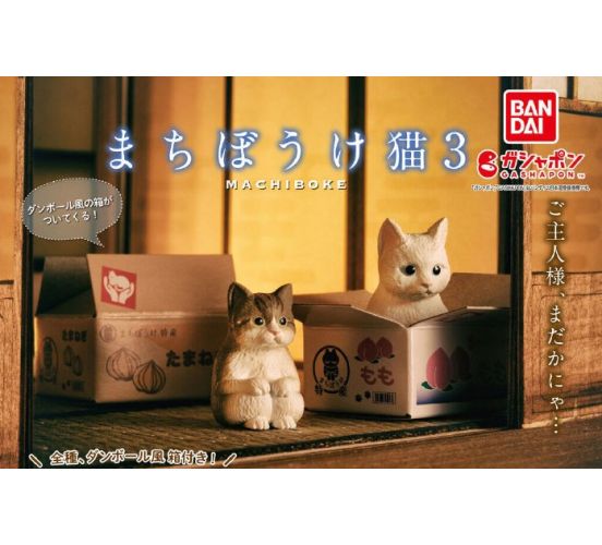 PREORDER-Sitting-Cats-Still-Waiting-For-You-20x-4cm-Zufallsf