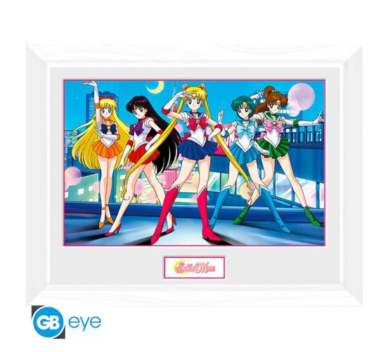 Sailor-Moon-Gruppe-30x40cm-Rahmenbild-1 Sailor-Moon-Gruppe-30x40cm-Rahmenbild-1