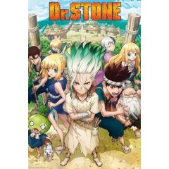 Dr-Stone-Group-915x61-Poster-1