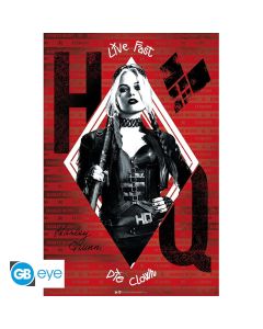 Dc Comics - Harley Quin - Maxi - 91.5x61cm Poster