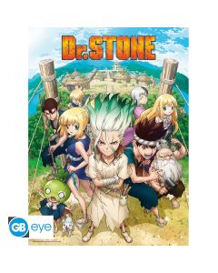 Dr Stone - Gruppe - 52x38cm Chibi Poster