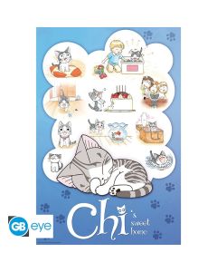 Kleine-Katze-Chi-Chis-Dream-915x61-Poster-1