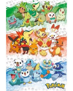 Pokemon-Starter-Generationen-915x61-Poster-1