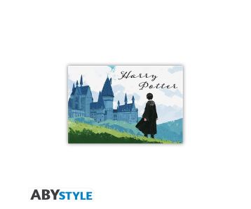 Harry Potter - Harry & Hogwarts - 5.5x8cm Magnet